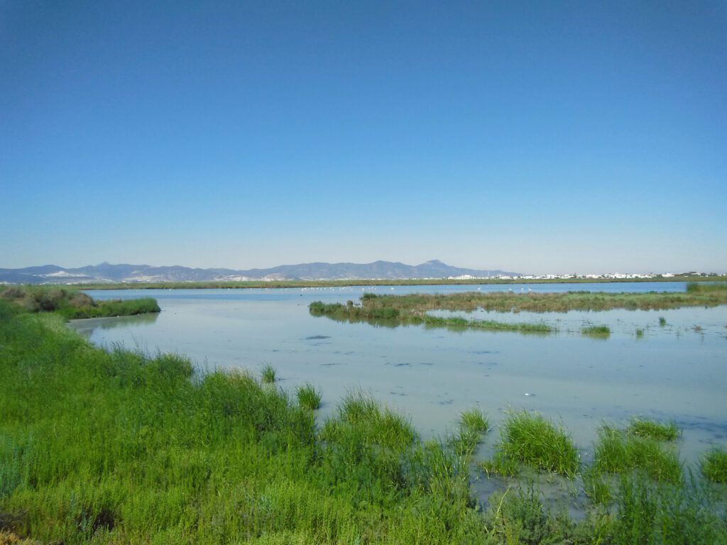 Photo: InTheMed project (Grombalia region)