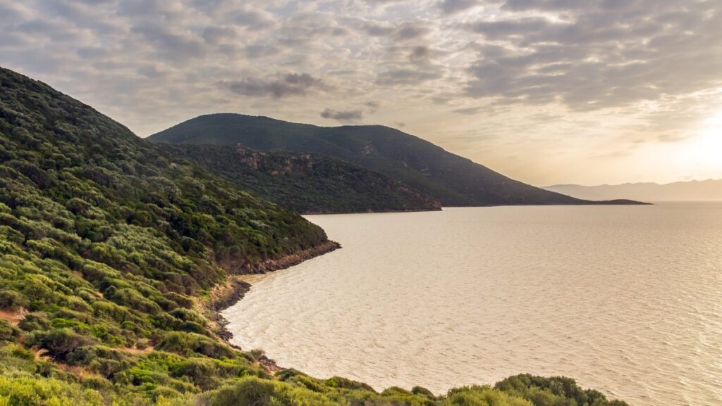 Photo: Ichkeul National Park, Tunisia. Khaled Ladjimi de Getty Images